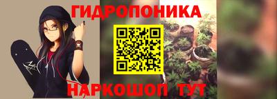кокс Ставрополь