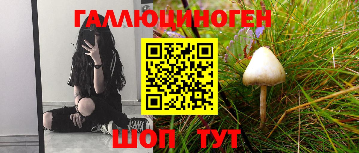 Галлюциногенные грибы GOLDEN TEACHER  Вход с VPN  Можайск 