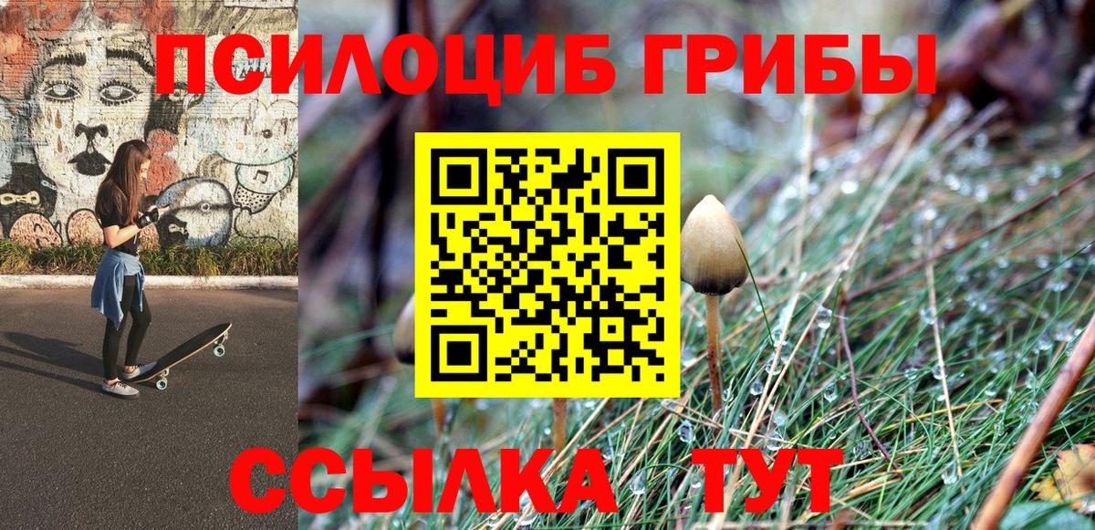 Галлюциногенные грибы GOLDEN TEACHER Можайск